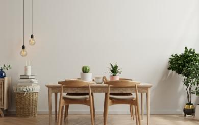 A minimal room with a dining table and green indoor plants