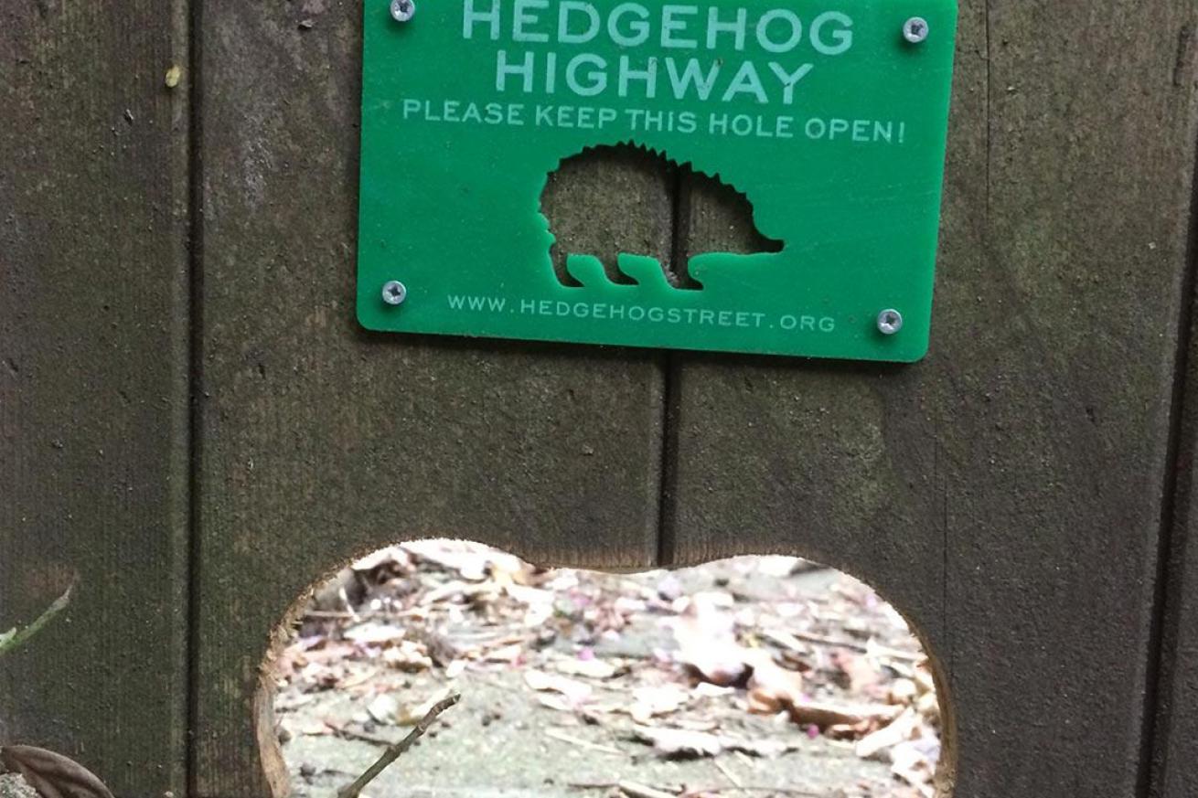 Sign stating please keep this hole open for hedgehog highway located above a cut out hole in the wooden fence