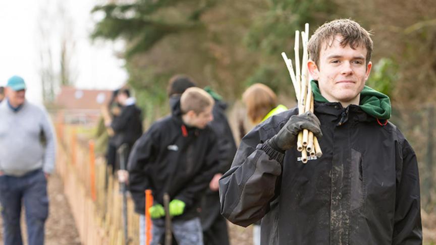 In the forefront of an image a teenage boy is carrying bamboo sticks over his shoulder whilst there are other people in the background in a field walking behind him and planting trees